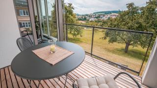 Balkon Apartment Hegaublick